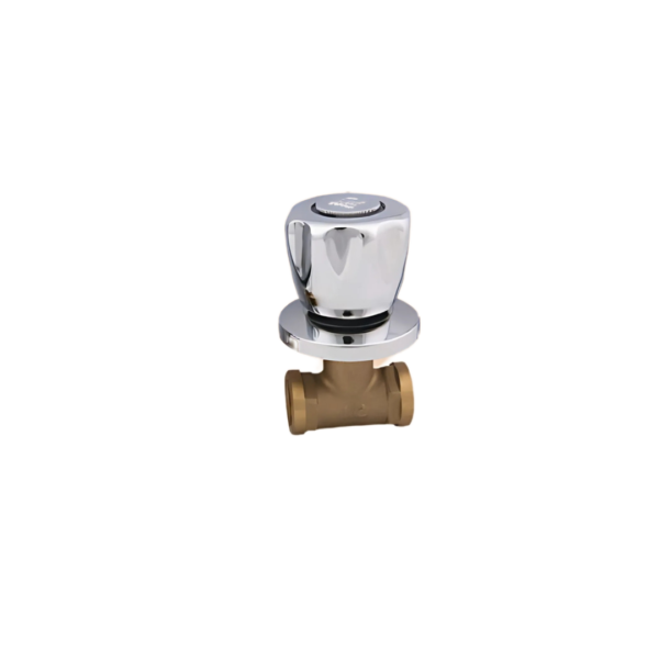BRASS GATE VALVE 1_2
