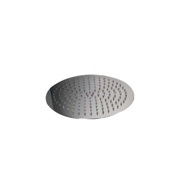 SS SHOWER HEAD